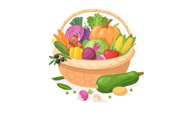 Marché du jeudi matin – Place de la Mairie