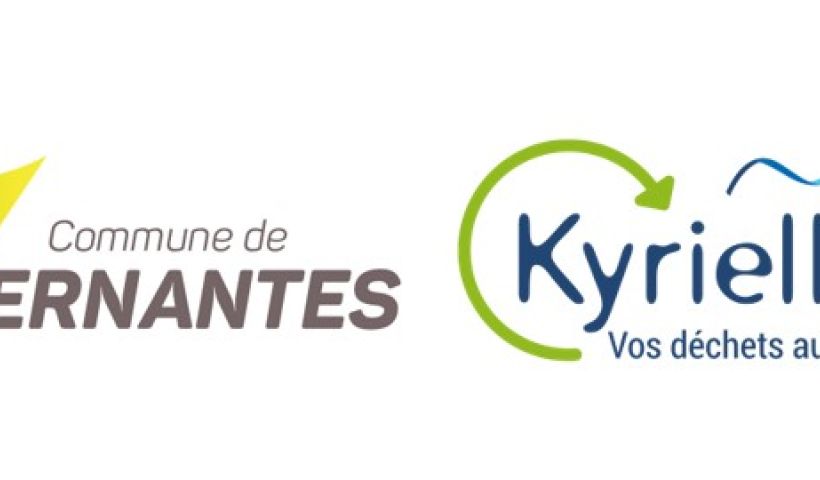 Donnez une seconde vie à votre sapin !