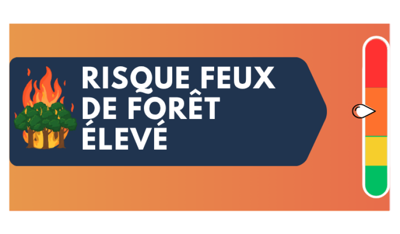 RISQUE INCENDIE DE FORET